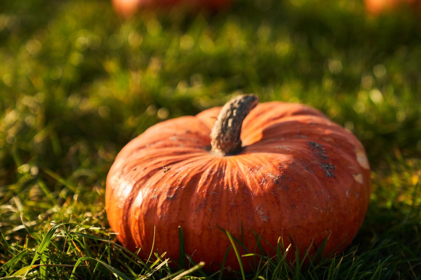 Golden Pumpkin Chunks