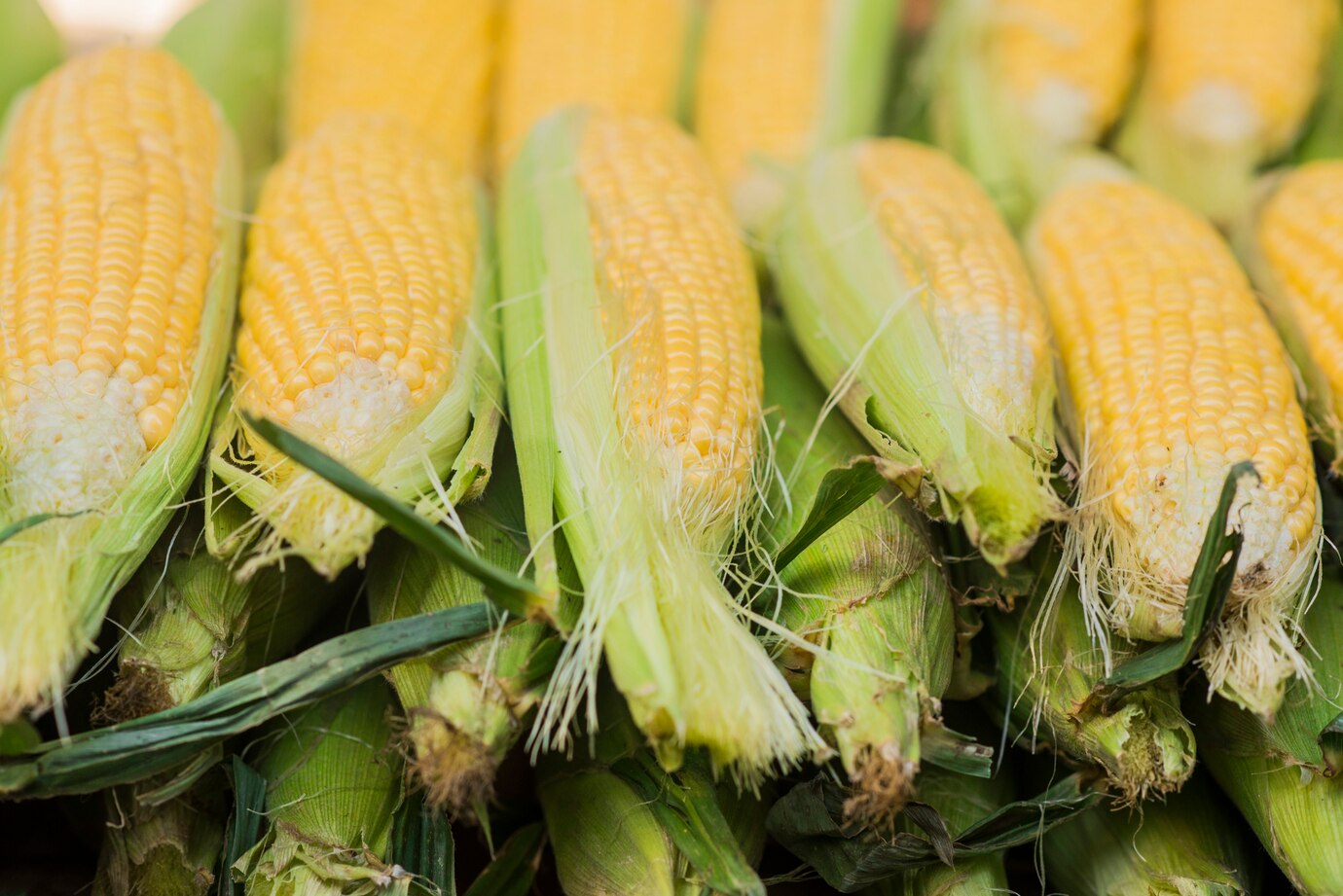 Tender Baby Corn