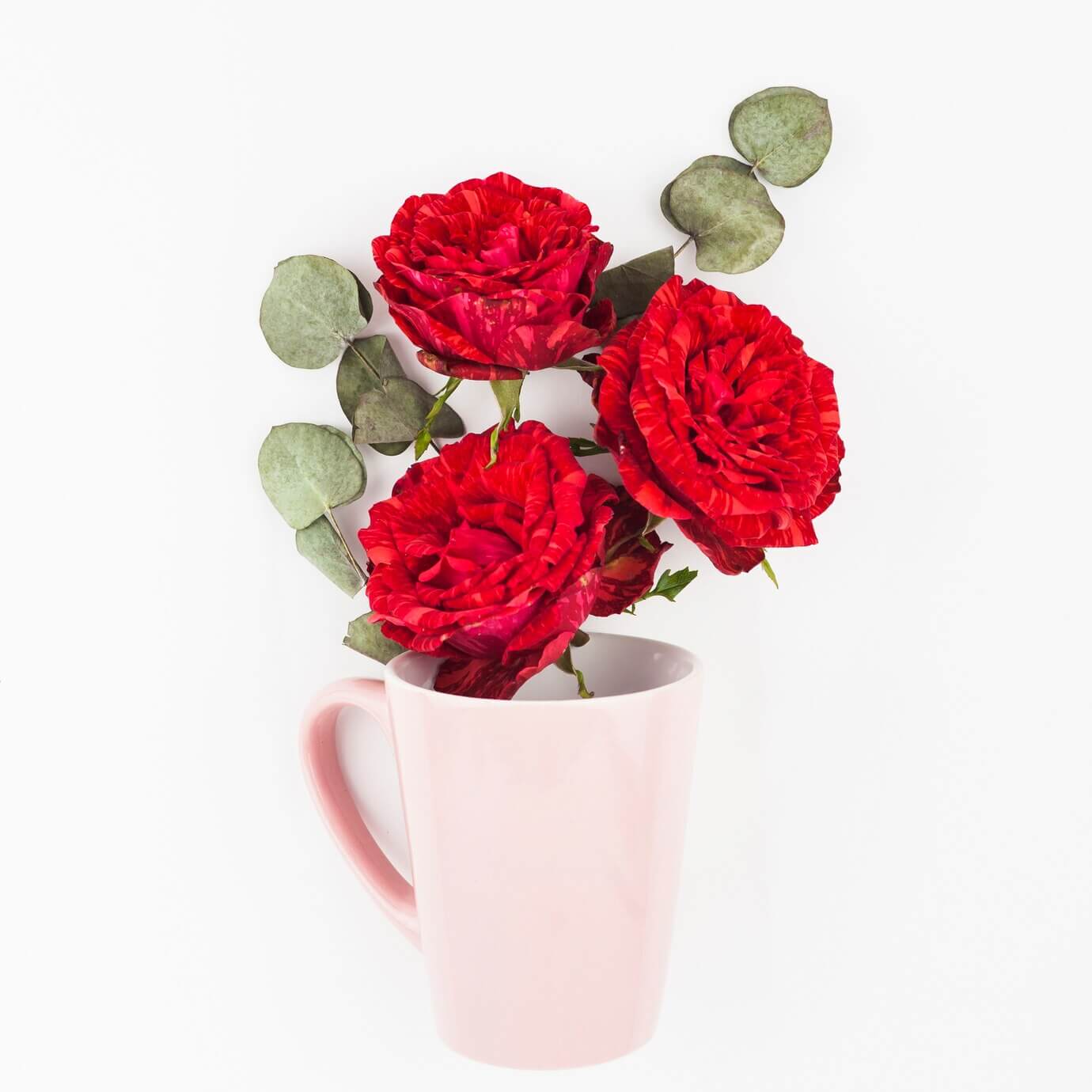 Bloom in a Mug