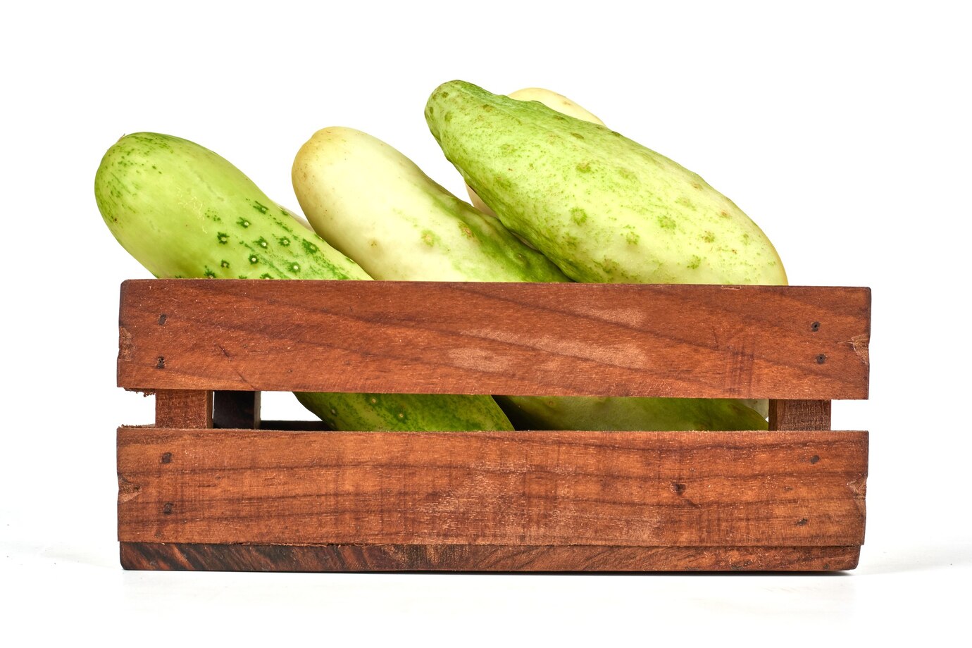 Gourds