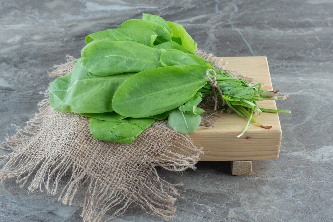 Fresh Spinach Bunch